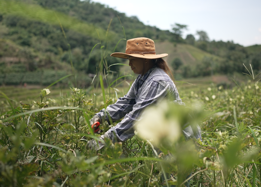 The Philippines, with its vast agricultural sector and complex inter-island geography, needs smart agro-logistics solutions to streamline processes, reduce post-harvest losses, and drive innovation for a more efficient farm-to-market system.